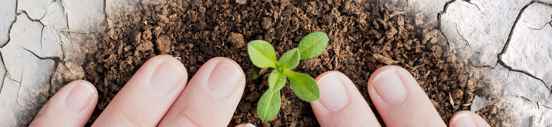 利来w66_利利国际最给力的老牌网